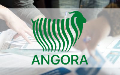 angora